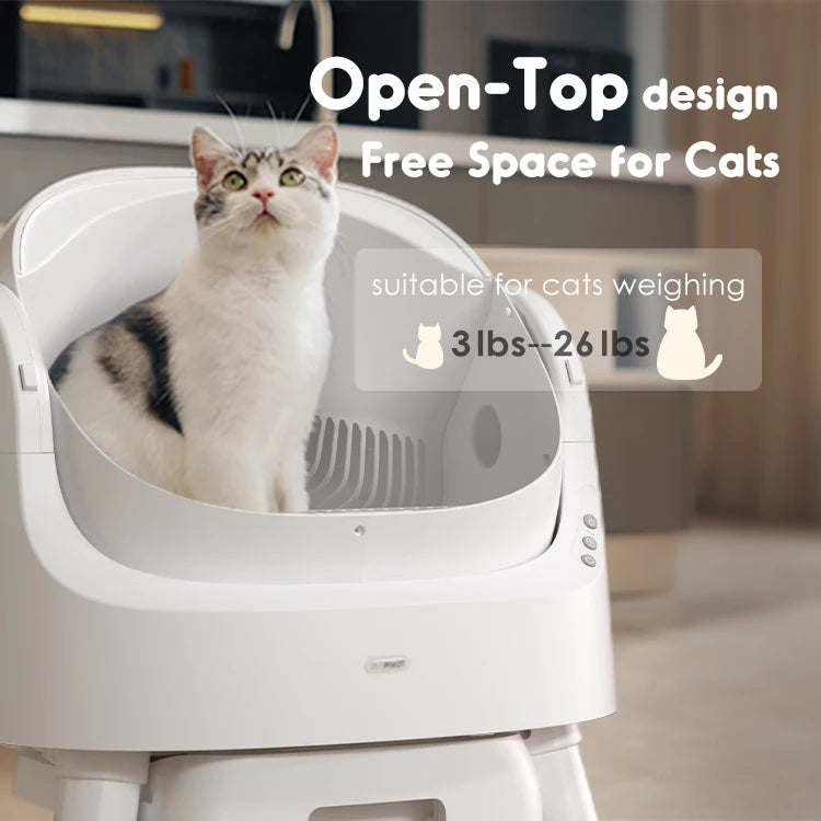 PurrClean Auto